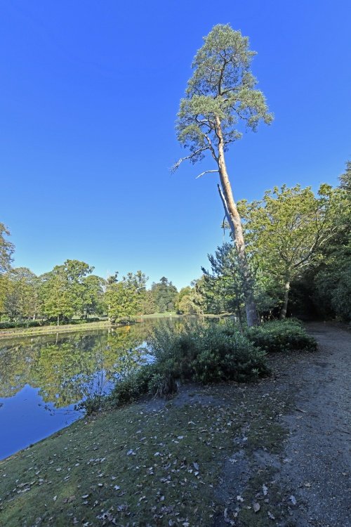 Claremont Landscape Garden