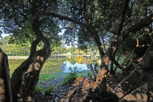 Claremont Landscape Garden