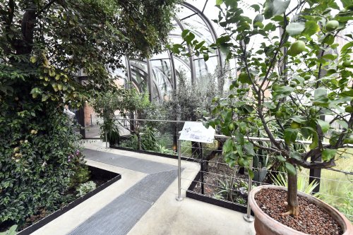 Laverstoke Mill - hot houses growing plants for infusions