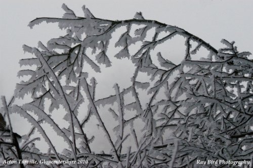 Hoar Frost, nr Acton Turville, Gloucestershire 2010