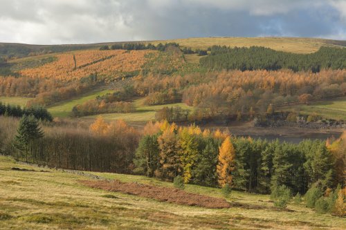 Errwood Reservoir in The Peak District above Buxton, Derbyshire