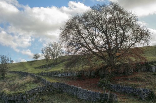 Upper Lathkill Dale near Monyash, Derbyshire