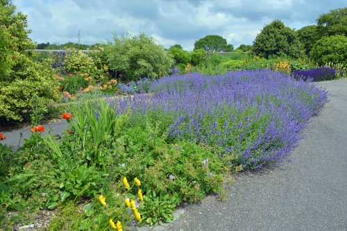 National Botanical Garden of Wales