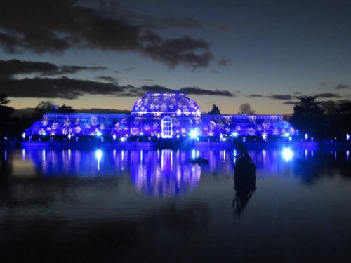 Kew gardens at christmas 2018