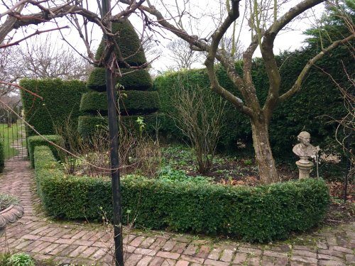 Pathway to Spring, gardens in Durham City.