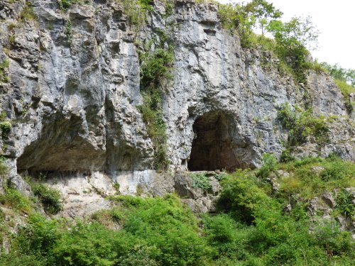 Cheddar Gauge Cheddar