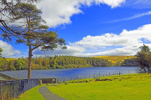 DartmoorNational Park