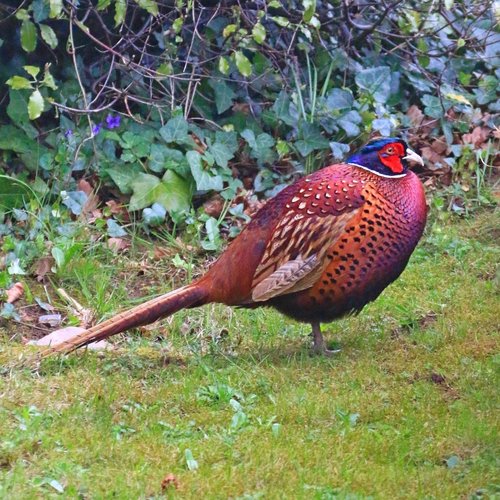 Who's a pretty boy then?