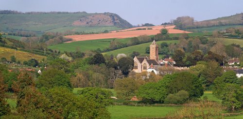 Otterton view