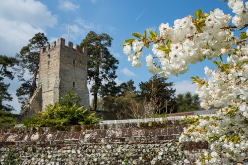 The walled garden at Greys Court