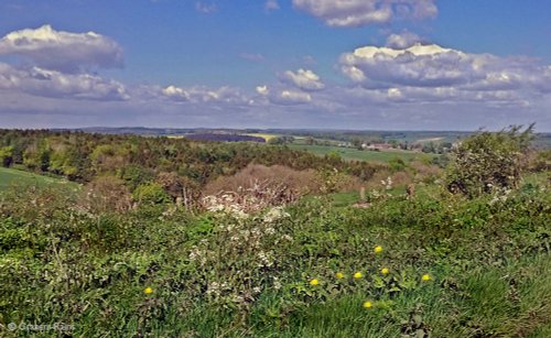 North Dorset Trailway