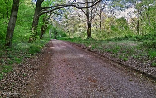 North Dorset Trailway