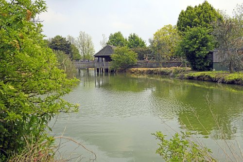 Wingham Wildlife Park