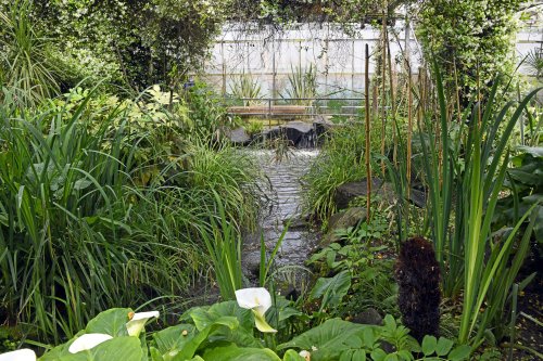 Wingham Wildlife Park