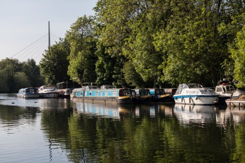 Hire Boats moored at Fry's Island, Caversham