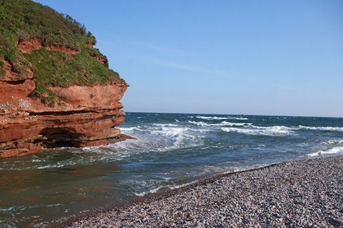 Budleigh Otter mouth