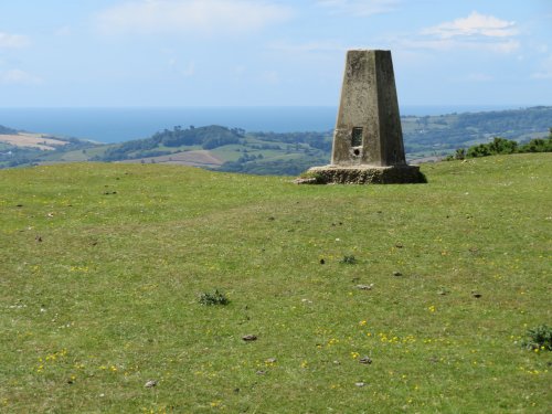 Trig point on highest point in Dorset (277m), Pilsdon Pen near Pilsdon