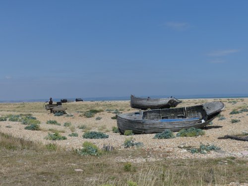 Dungeness