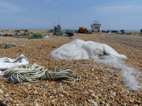 Dungeness