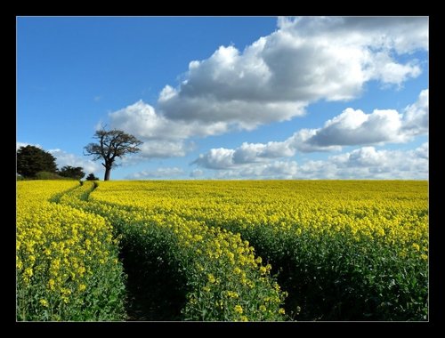 Not far from the City Centre, towards Goodwood.