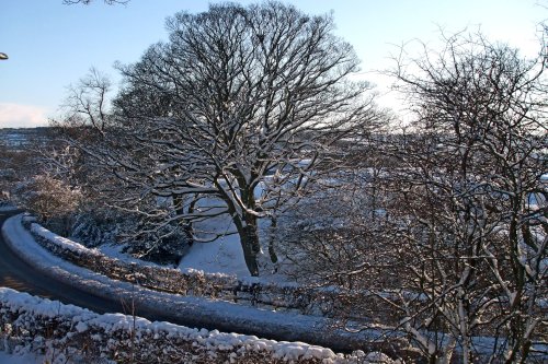 Tanfield Snow in January 2010
