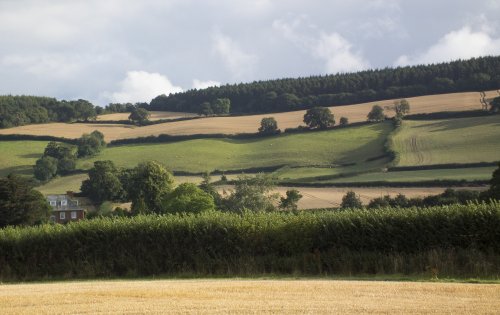 Countryside around Carhampton
