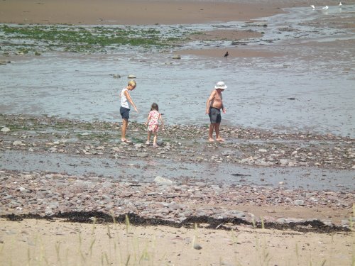Minehead Seafront and Harbour
