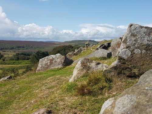 Walk with a view, longshaw estate.