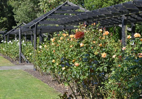 Whitstable Castle and Gardens