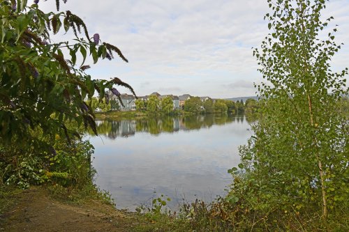 Leybourne Lakes Country Park