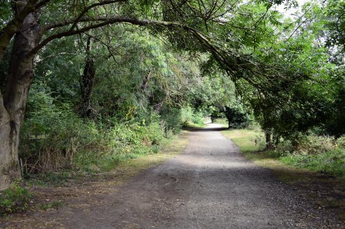 Leybourne Lakes Country Park