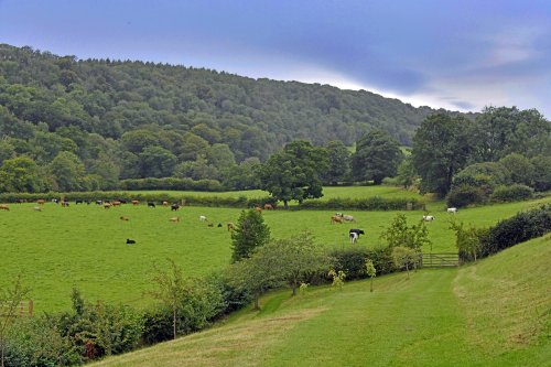 Sleightholmedale Lodge Farm, Fadmoor