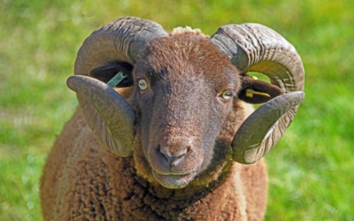 Rydale Folk Museum, Hutton-le-Hole