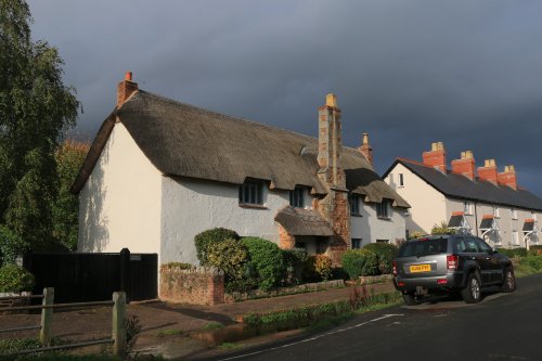 Otterton thatch
