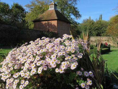 eastcote house gardens