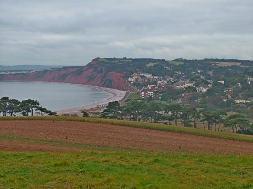 Budleigh below