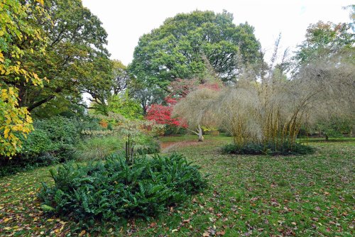 Ramster Gardens,  Chiddingfold