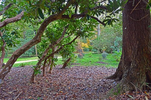 Ramster Gardens,  Chiddingfold