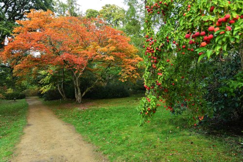 Ramster Gardens,  Chiddingfold