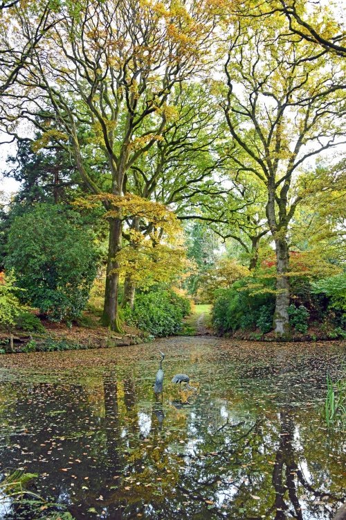 Ramster Gardens,  Chiddingfold