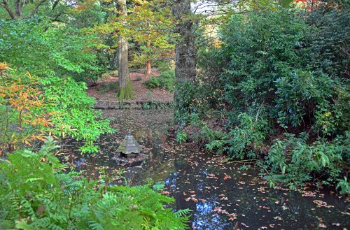 Ramster Gardens,  Chiddingfold