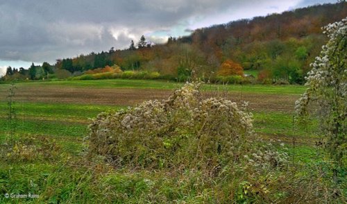 North Dorset Trailway