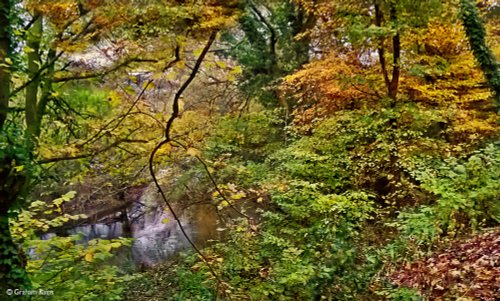 North Dorset Trailway