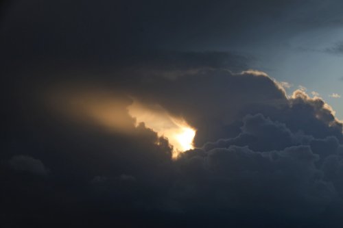 Budleigh ray of hope