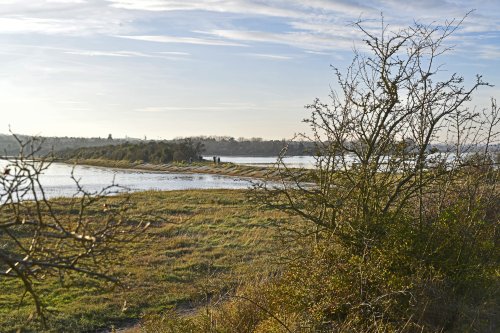 River Medway at Gillingham Riverside Country Park