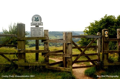 Cotswold Way, Coaley Peak, nr Coaley, Gloucestershire 2013