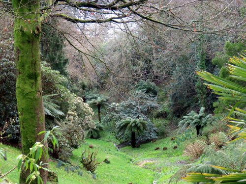 Glendurgan Gardens