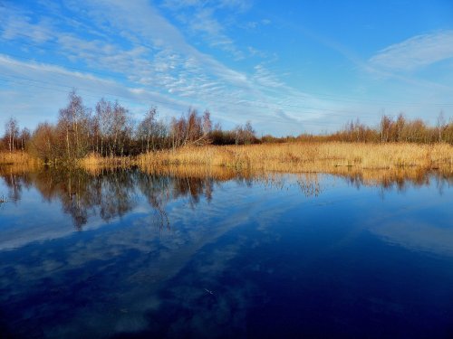 Old Moor Nature Reserve, Wombwell