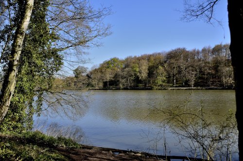 Newmillerdam Country Park