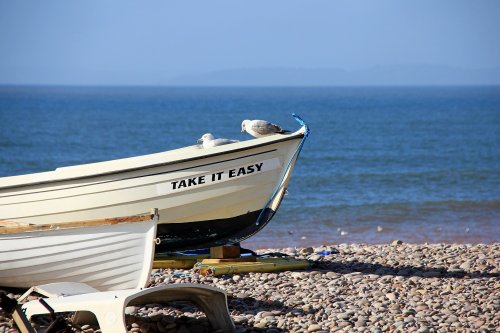 Budleigh gulls and boat